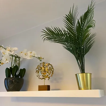 Wilenska 3 Апартаменты *